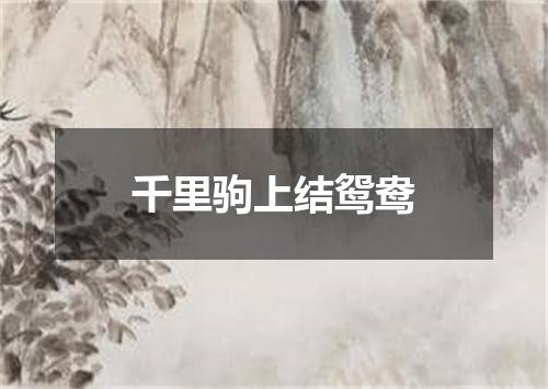 千里驹上结鸳鸯