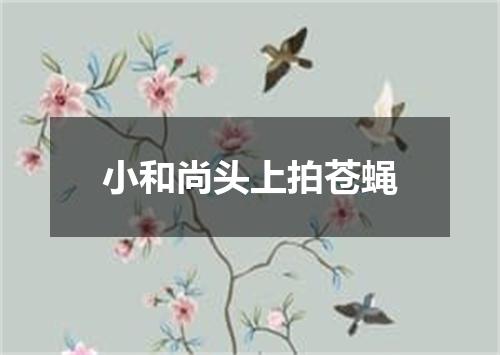 小和尚头上拍苍蝇
