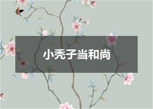 小秃子当和尚