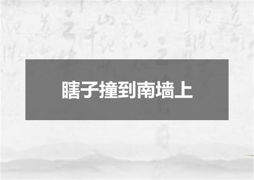 瞎子撞到南墙上