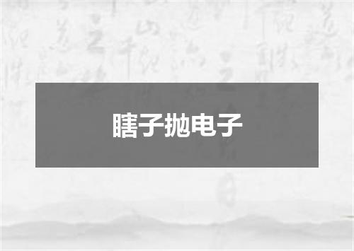 瞎子抛电子
