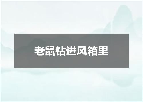 老鼠钻进风箱里