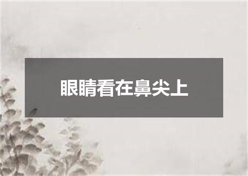 眼睛看在鼻尖上