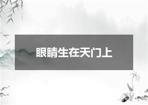 眼睛生在天门上
