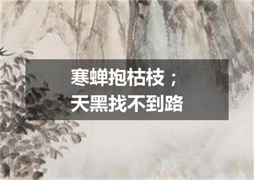寒蝉抱枯枝；天黑找不到路
