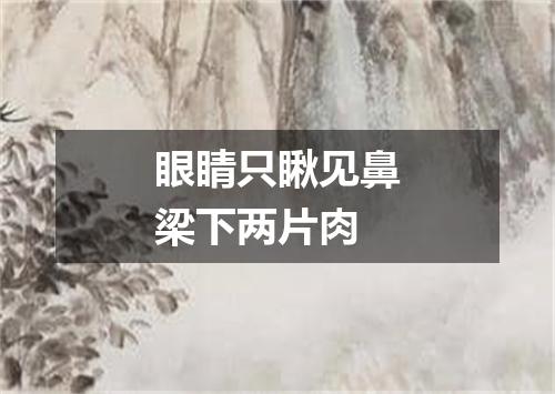 眼睛只瞅见鼻梁下两片肉