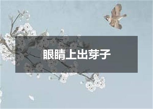 眼睛上出芽子