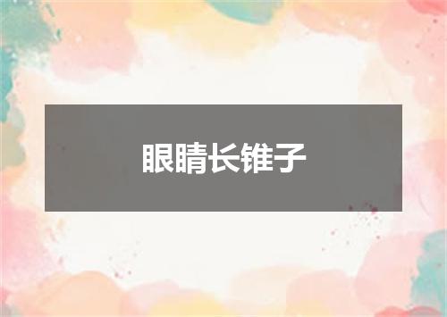 眼睛长锥子