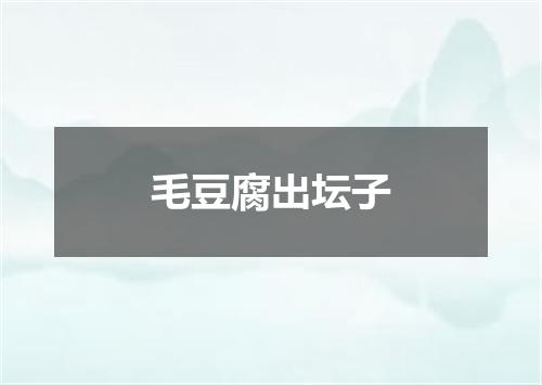毛豆腐出坛子