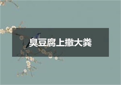 臭豆腐上撒大粪