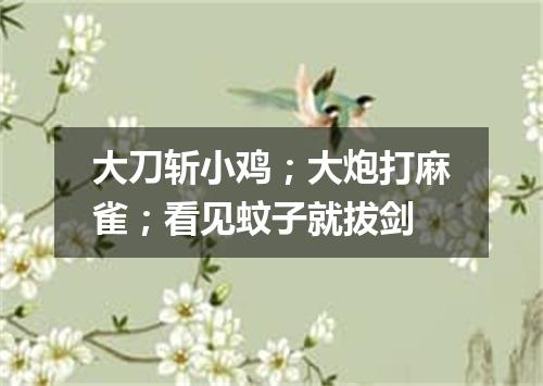 大刀斩小鸡；大炮打麻雀；看见蚊子就拔剑