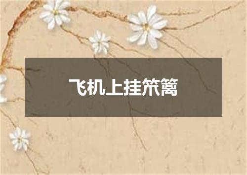 飞机上挂笊篱