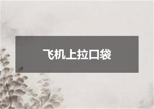 飞机上拉口袋