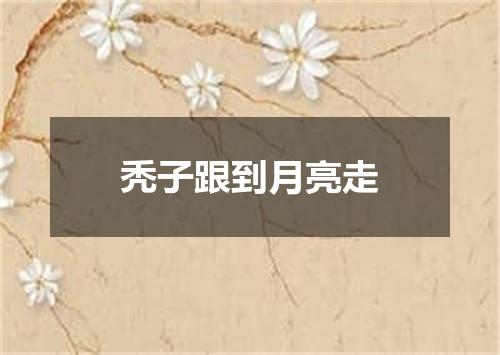 秃子跟到月亮走