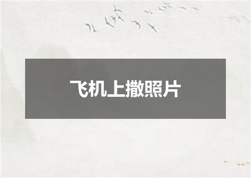 飞机上撒照片