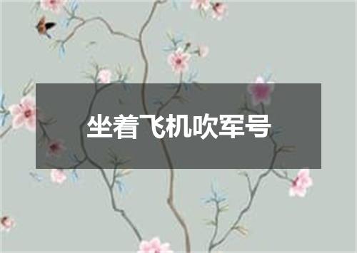 坐着飞机吹军号