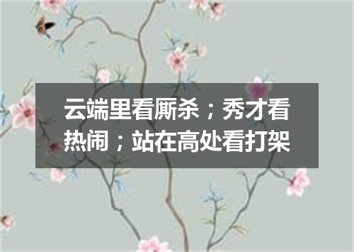 云端里看厮杀；秀才看热闹；站在高处看打架