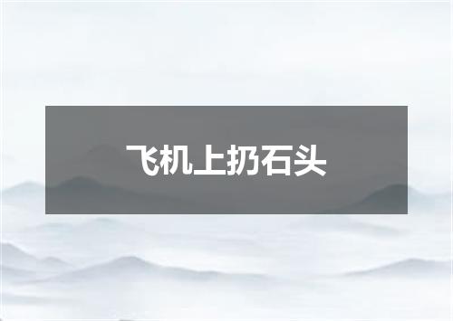飞机上扔石头