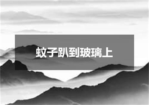 蚊子趴到玻璃上