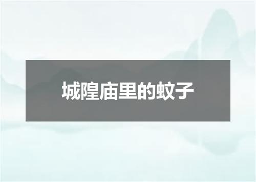 城隍庙里的蚊子