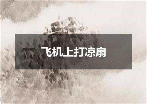 飞机上打凉扇