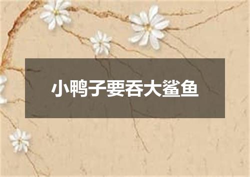 小鸭子要吞大鲨鱼