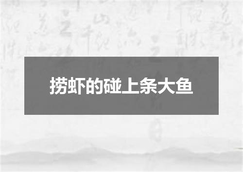 捞虾的碰上条大鱼