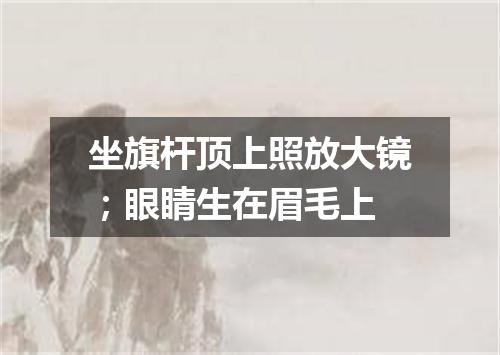 坐旗杆顶上照放大镜；眼睛生在眉毛上