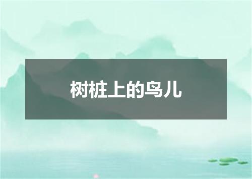 树桩上的鸟儿