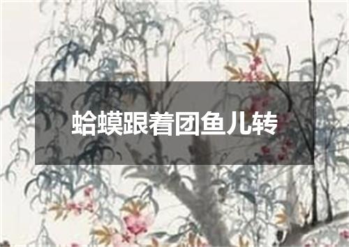 蛤蟆跟着团鱼儿转