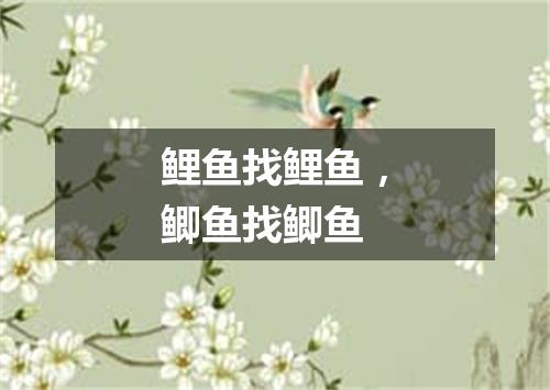 鲤鱼找鲤鱼，鲫鱼找鲫鱼
