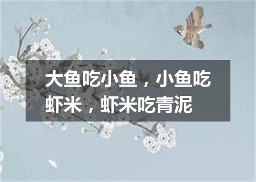 大鱼吃小鱼，小鱼吃虾米，虾米吃青泥