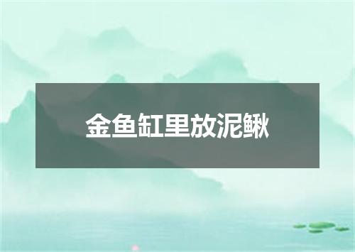 金鱼缸里放泥鳅