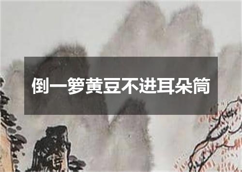 倒一箩黄豆不进耳朵筒