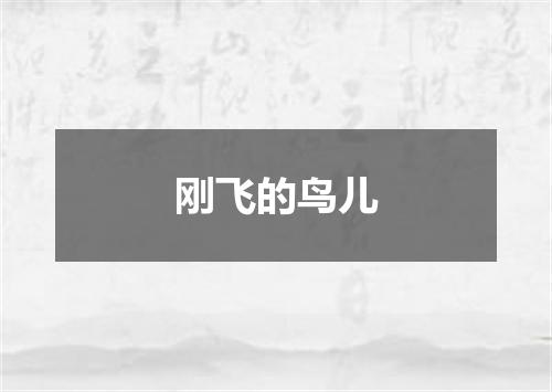 刚飞的鸟儿