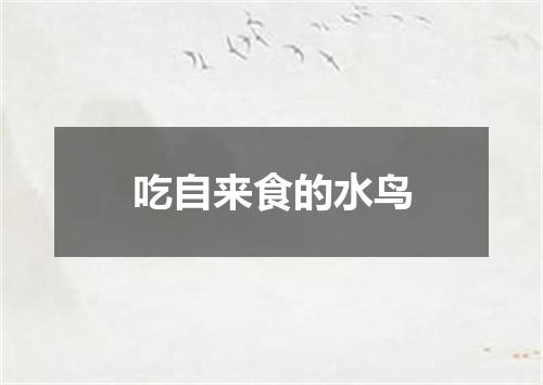 吃自来食的水鸟