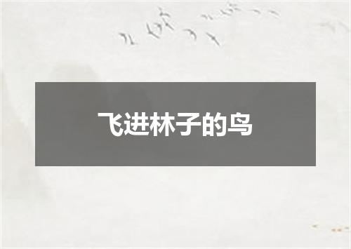 飞进林子的鸟