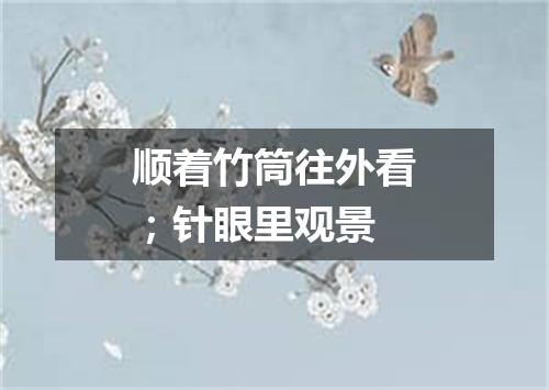 顺着竹筒往外看；针眼里观景