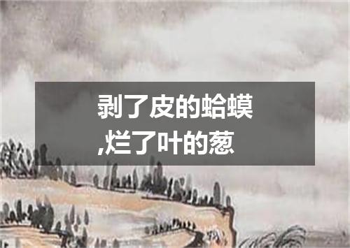 剥了皮的蛤蟆,烂了叶的葱