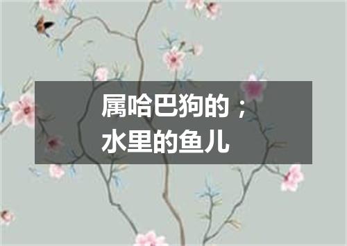 属哈巴狗的；水里的鱼儿