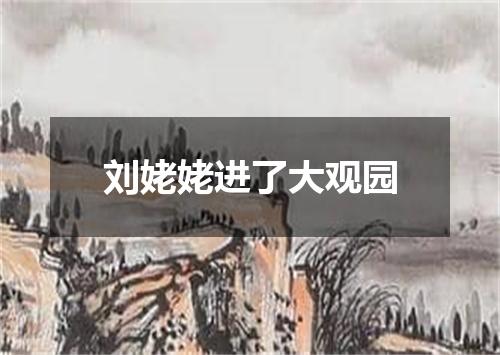 刘姥姥进了大观园