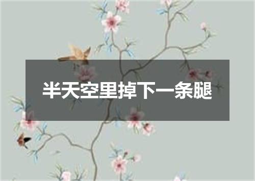 半天空里掉下一条腿