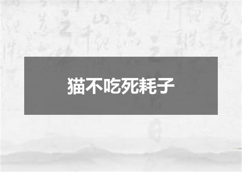 猫不吃死耗子