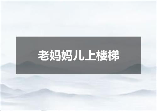 老妈妈儿上楼梯