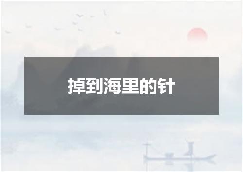 掉到海里的针