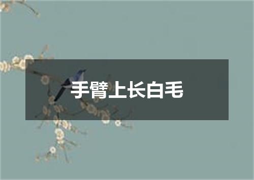 手臂上长白毛
