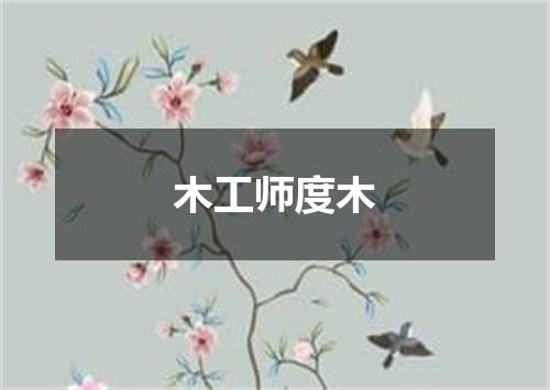 木工师度木