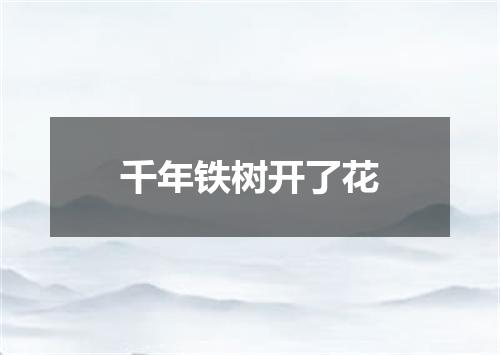 千年铁树开了花