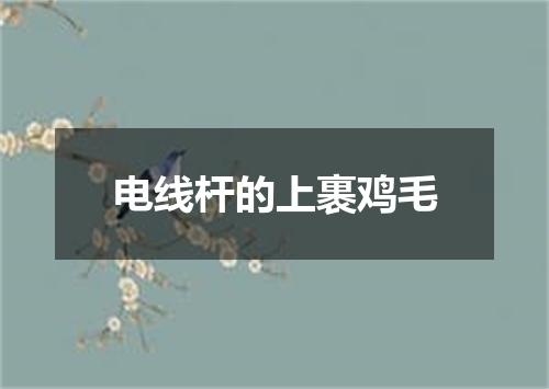 电线杆的上裹鸡毛