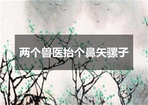 两个兽医抬个鼻矢骡子